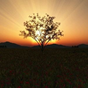 Meet your Posher, Doreen